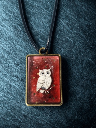 Czerwona Sowa Wiedzy