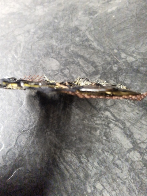 Industrial Time Ring