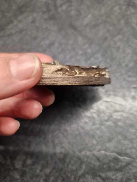 The Last Mechanical Butterfly